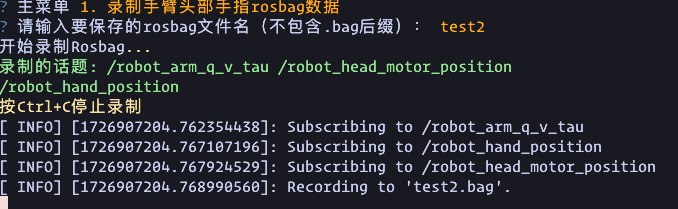 record_arm_head_hand_rosbag