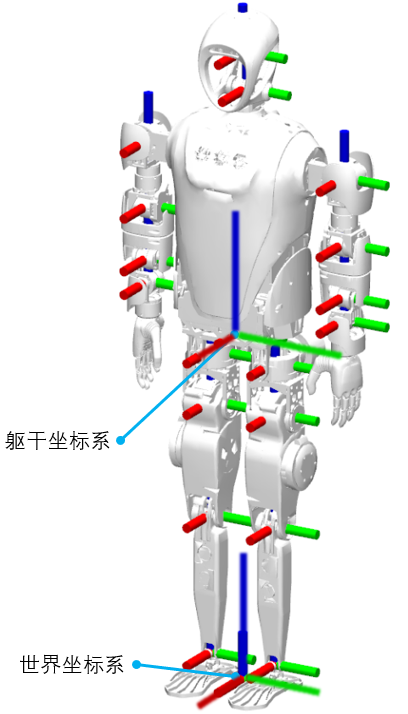 关节图示4