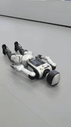 roban_prone_real_140